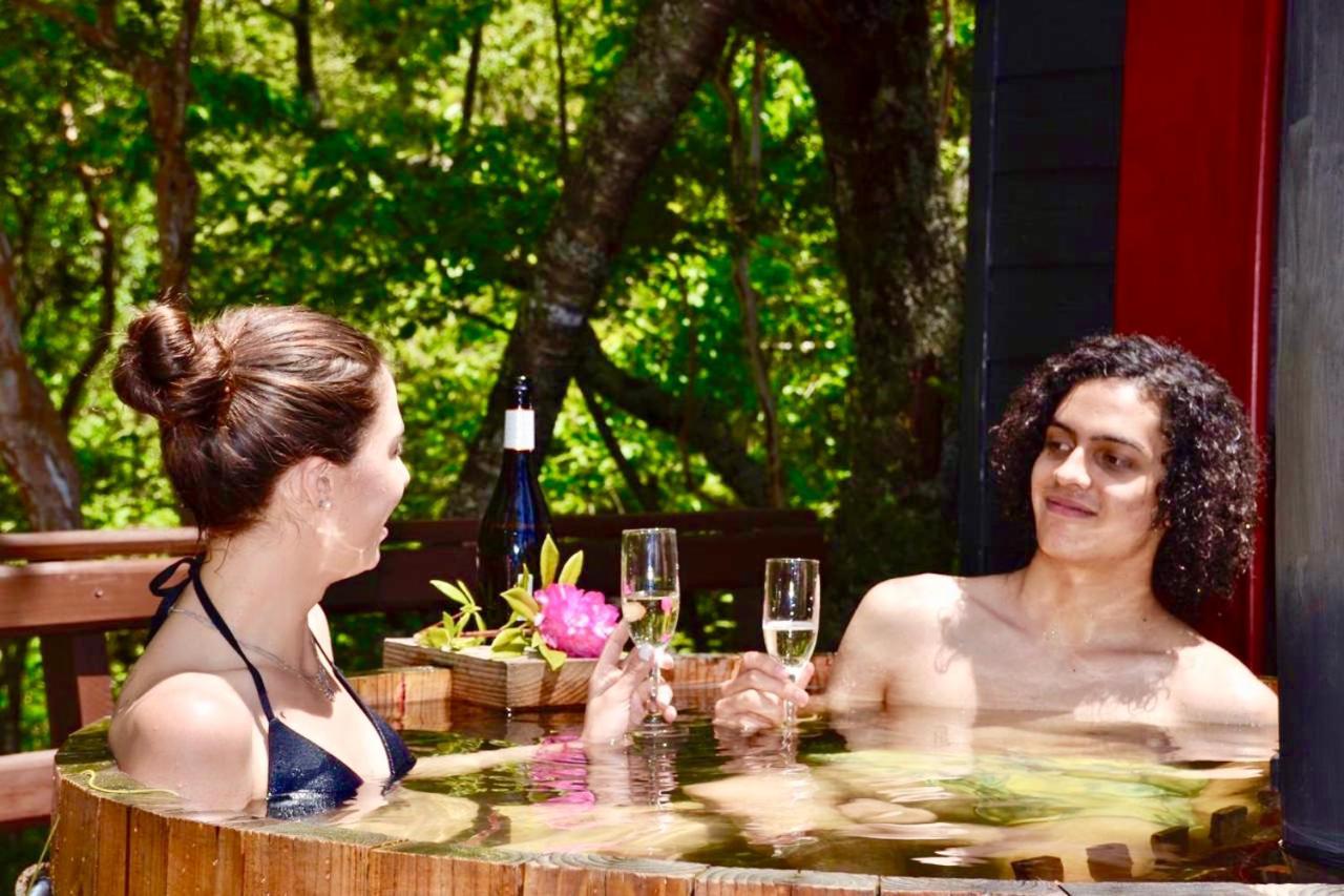 Molko Lodge *